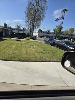 honda lawnmower jardinero gardener