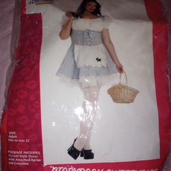 Women's Plus Size Costume Used In Good Condition