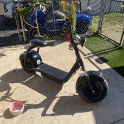 Fat Tire Scooter