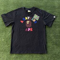 BAPE Colors College Tee