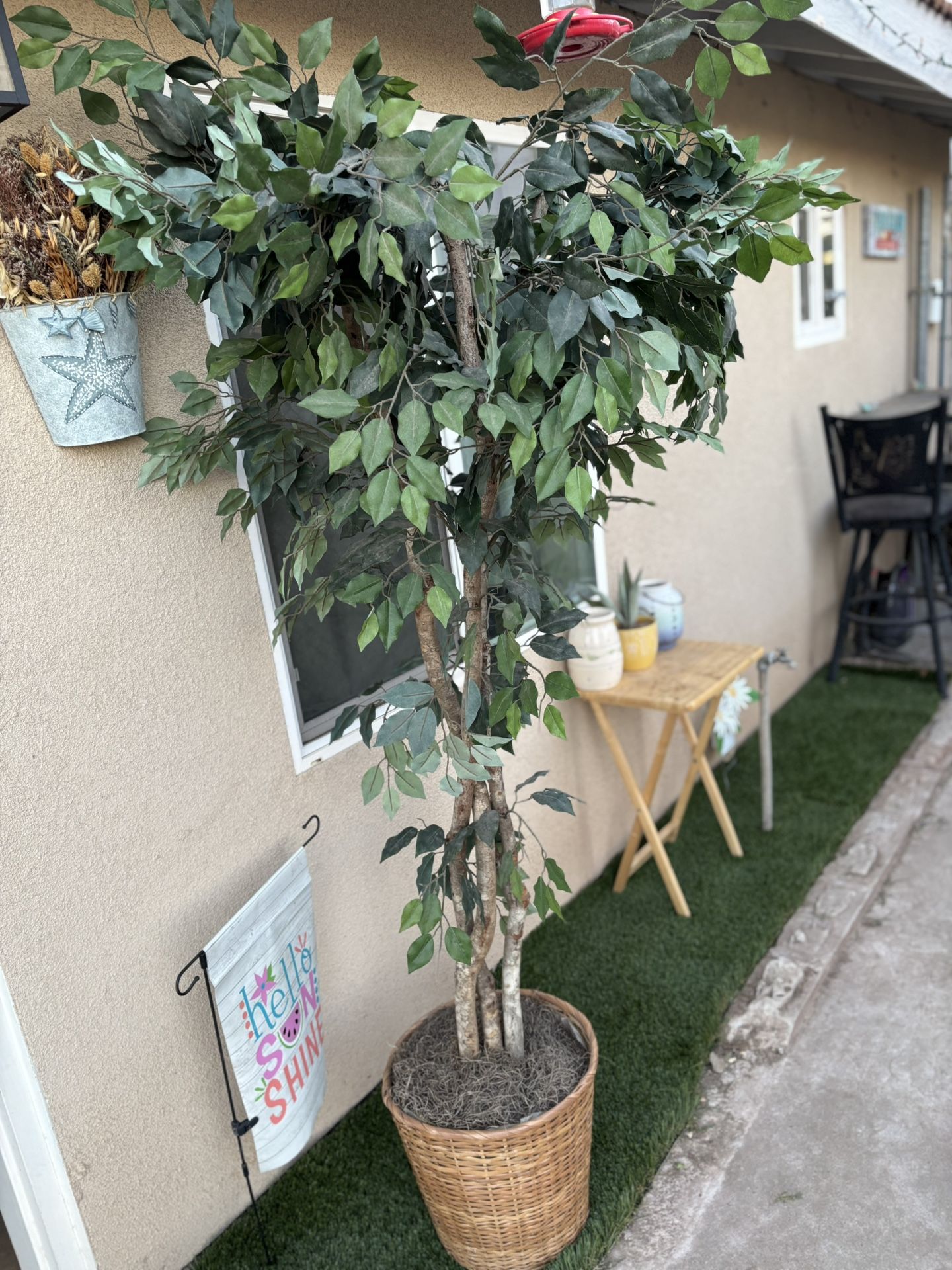 Tree 6ft
