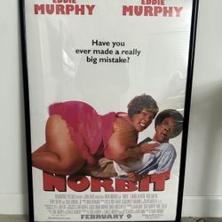 Norbit - 27x40 Framed Theatrical Movie Poster