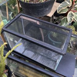 Tank Reptile
