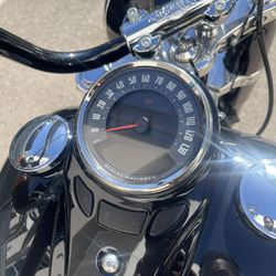 2021 Harley Davidson Soft-Tail Slim