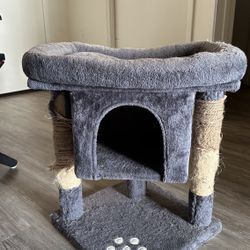 Dirty Cat Tree