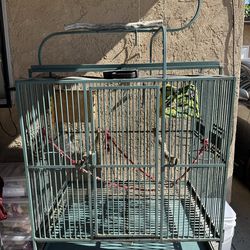 Large Green Bird Cage