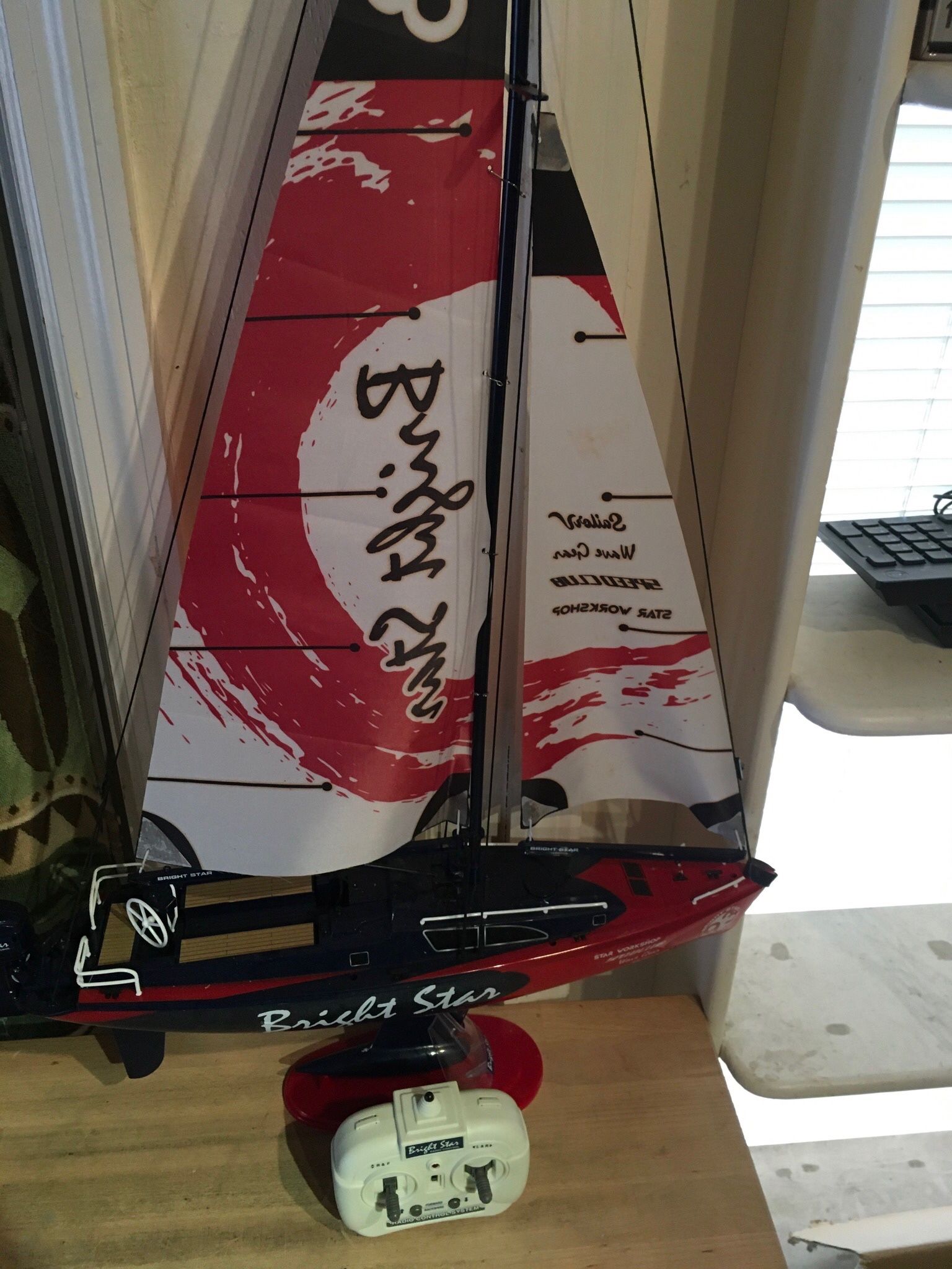 Mini Sailboat