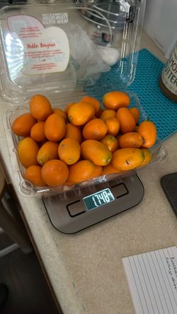 Kumquat Chinese ( Naranja China )
