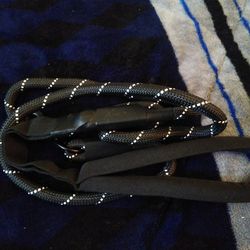 Dog Leash