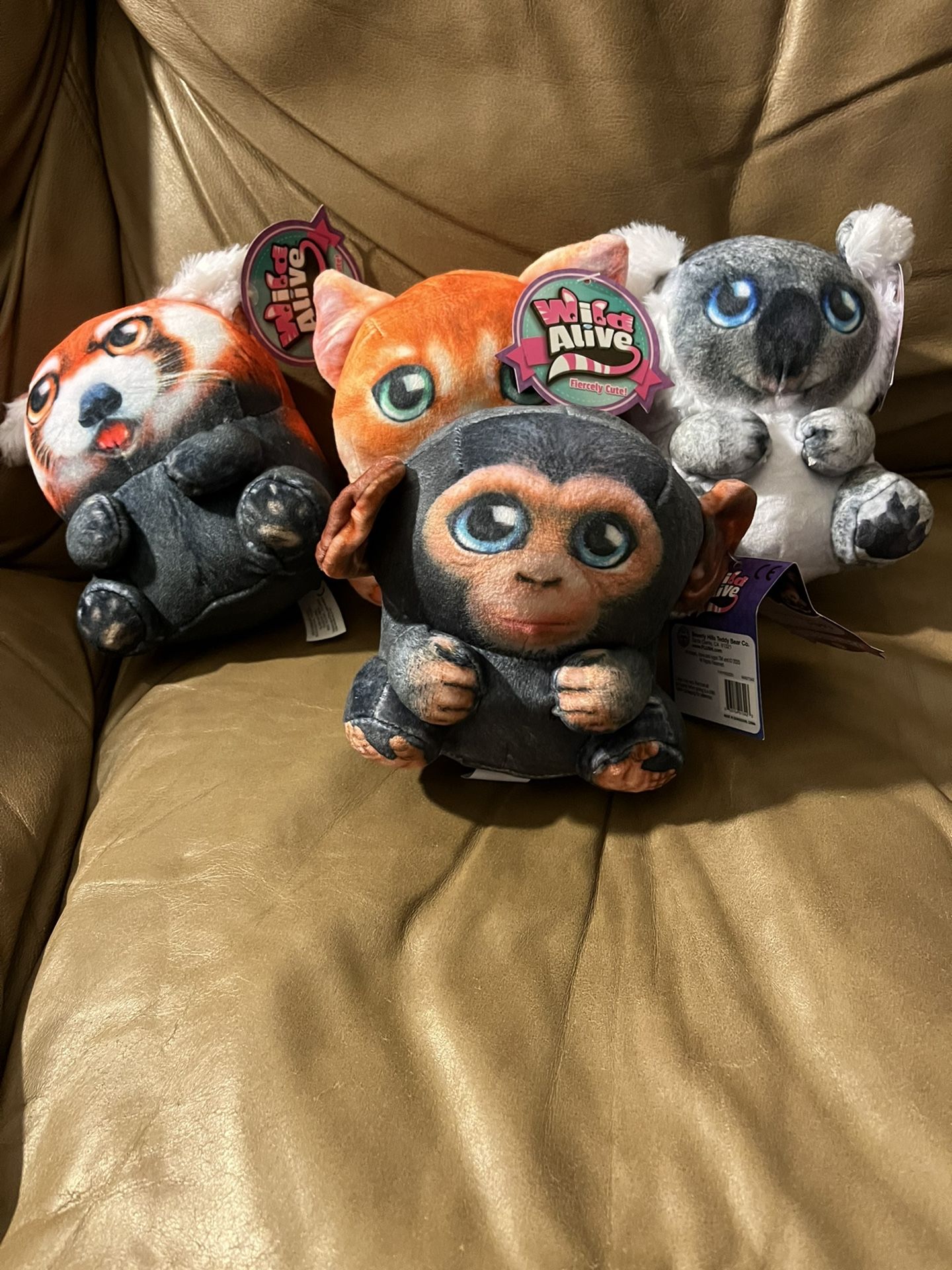 Wild Alive Plush- Rare Monkey Look!