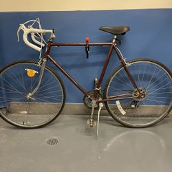 Raleigh Rampar Road Bike 56cm Kryptonite Locks for Sale in New York NY OfferUp