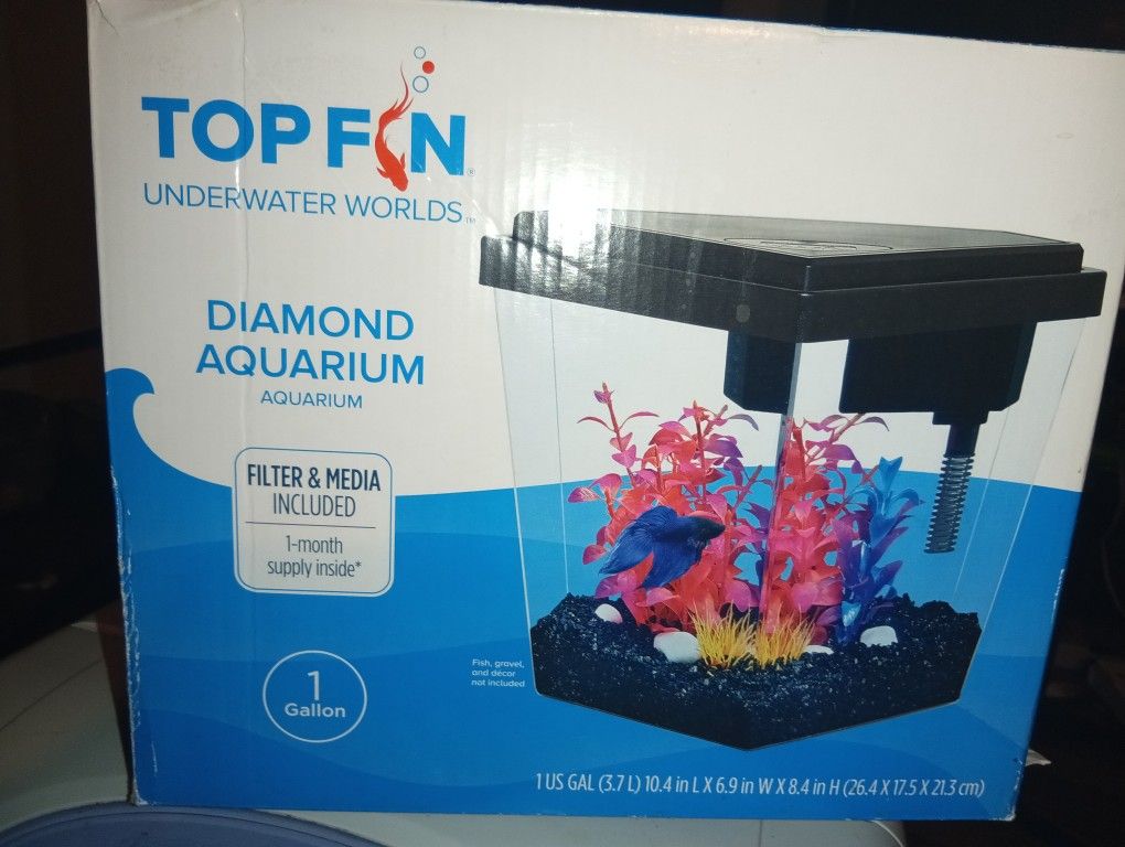 Small Fish Tank 