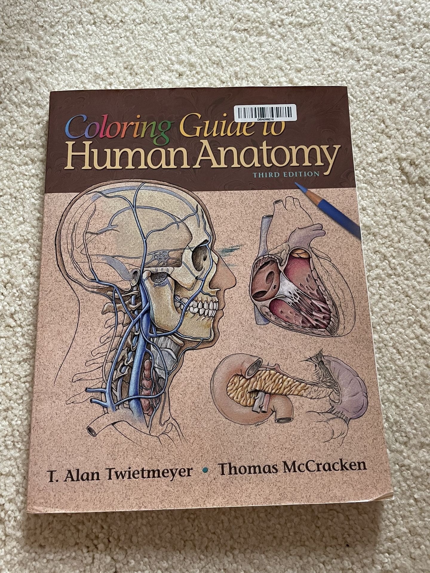 Coloring Guide to Human Anatomy by Thomas O. McCracken and T. Alan T