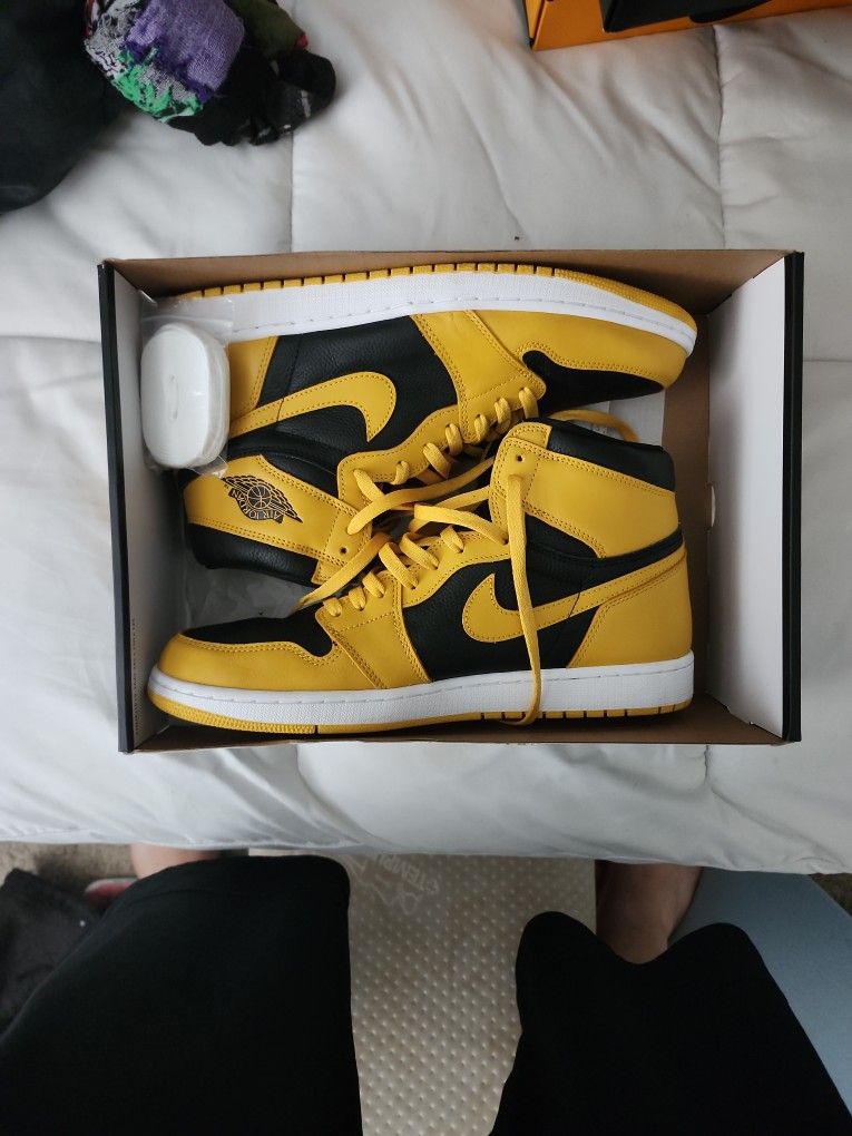 Jordan 1 Pollen