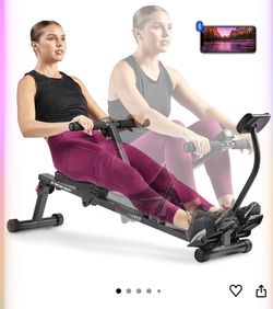 Sunny Rowing Exercise Machine