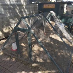 Chicken Coop Or Trade Chainsaw Echo Or Stihl