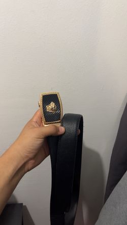Belt