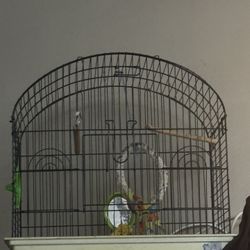 Bird Cage