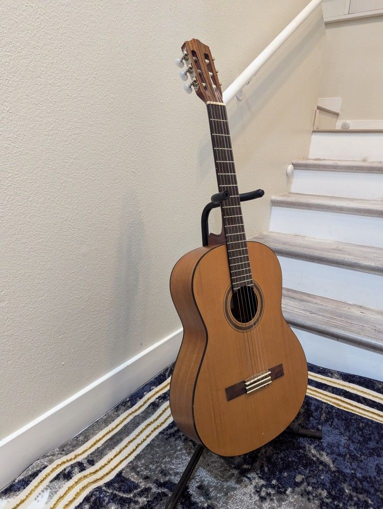 Cordoba  Classical Acoustic Guitar Nylon String 