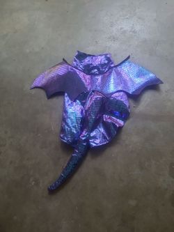 XL/L Dog Costume