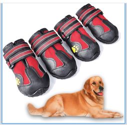 Dog Shoes size 4