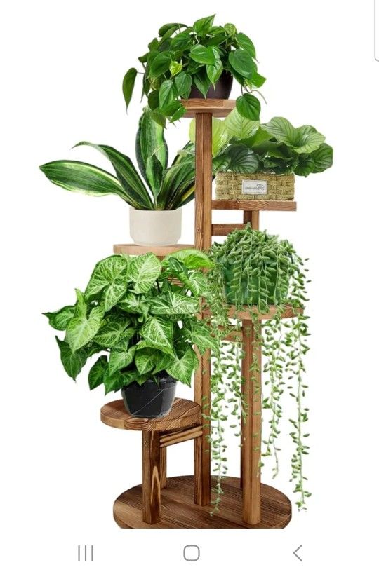 Plants Stand