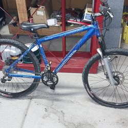 Iron Horse Mountain Bike