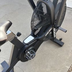 Rogue Echo Bike    Works Great  