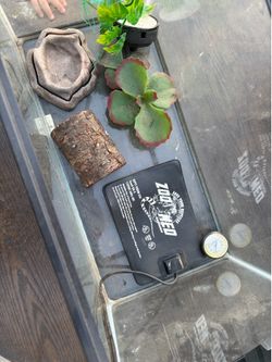 Reptile tank
