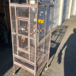 Bird Cage 