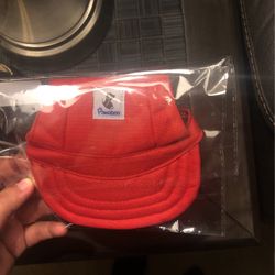 Dog Hat