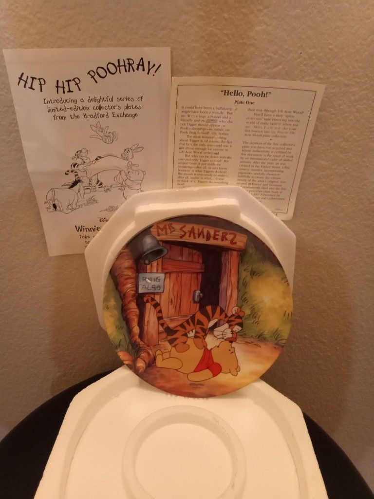 "Hello Pooh" First Issue Of "Fun In 100 Acre Woods Collection, Bradford Exchange, 1996, See Description 