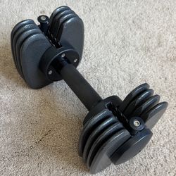Dumbbell 25lb (one)