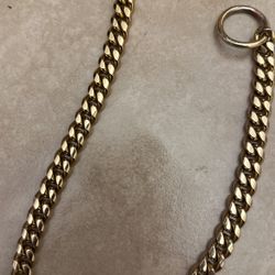 Dog Collar, 14”, Fits 10-12” Neck