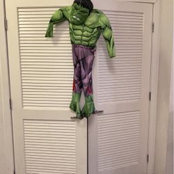 Costume Hulk 