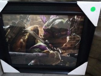 Ninja Turtles 11x14 Donatello