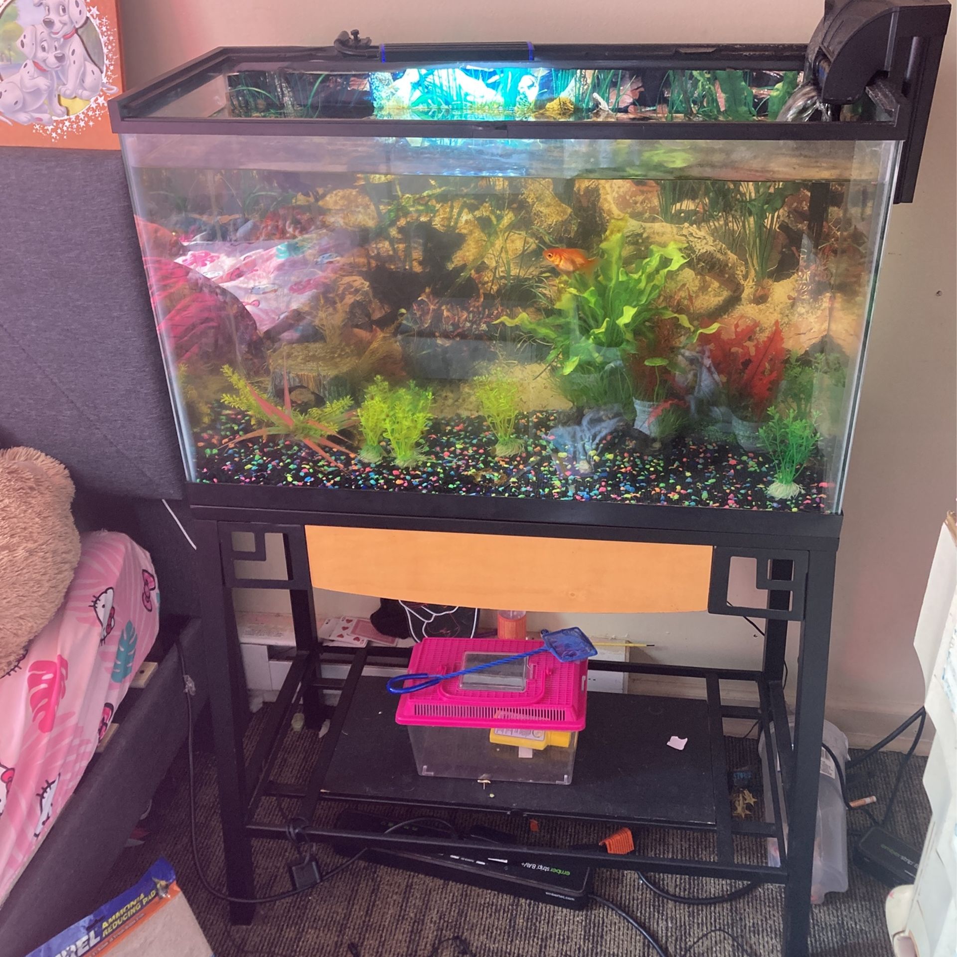 30 Gallon Fish Tank And Stand Everything Included