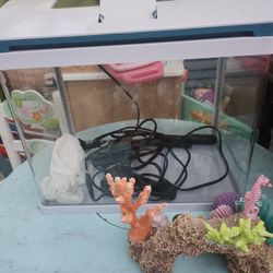 Semi Used Fish Tank