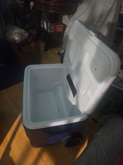 Coleman cooler