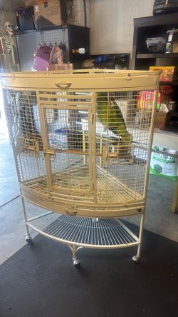 green parrot/parakeet