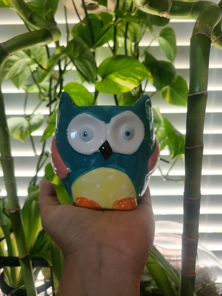 Ceramic owl planter pot