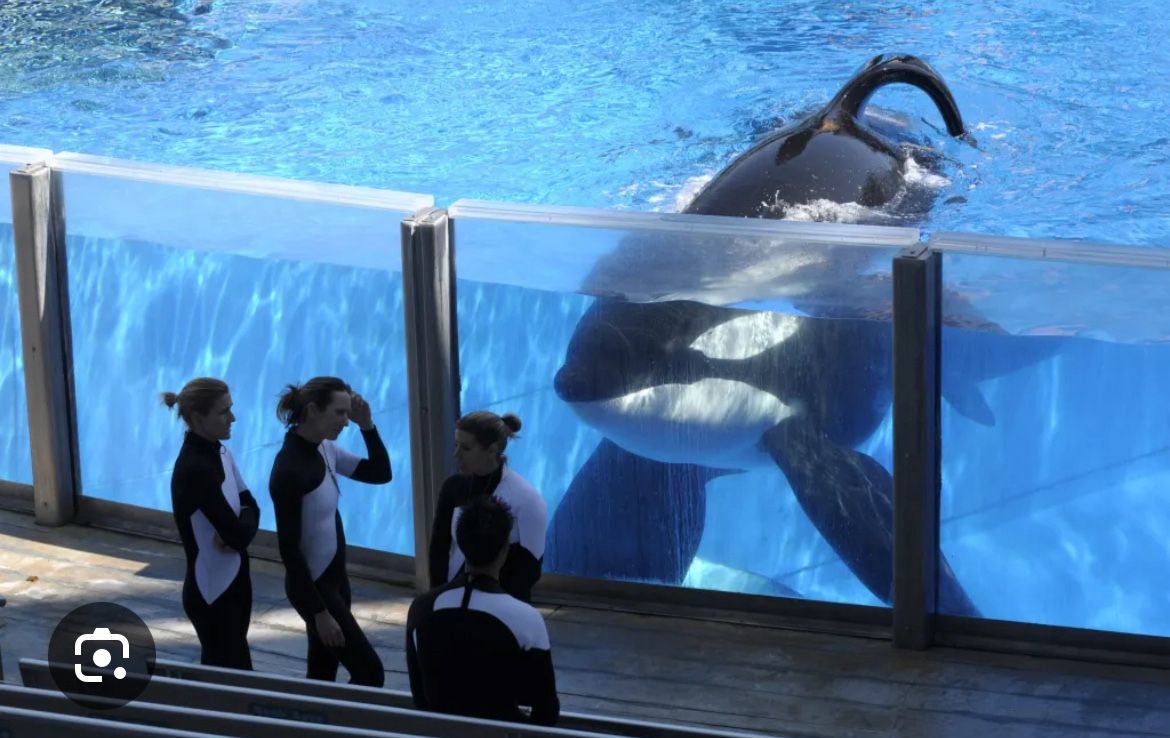 Seaworld Tickets And FASTPASS