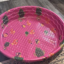 Funsicle, A Small Tub That Fits About 4 Children In It 