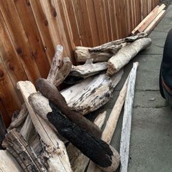 Cleaned Driftwood 