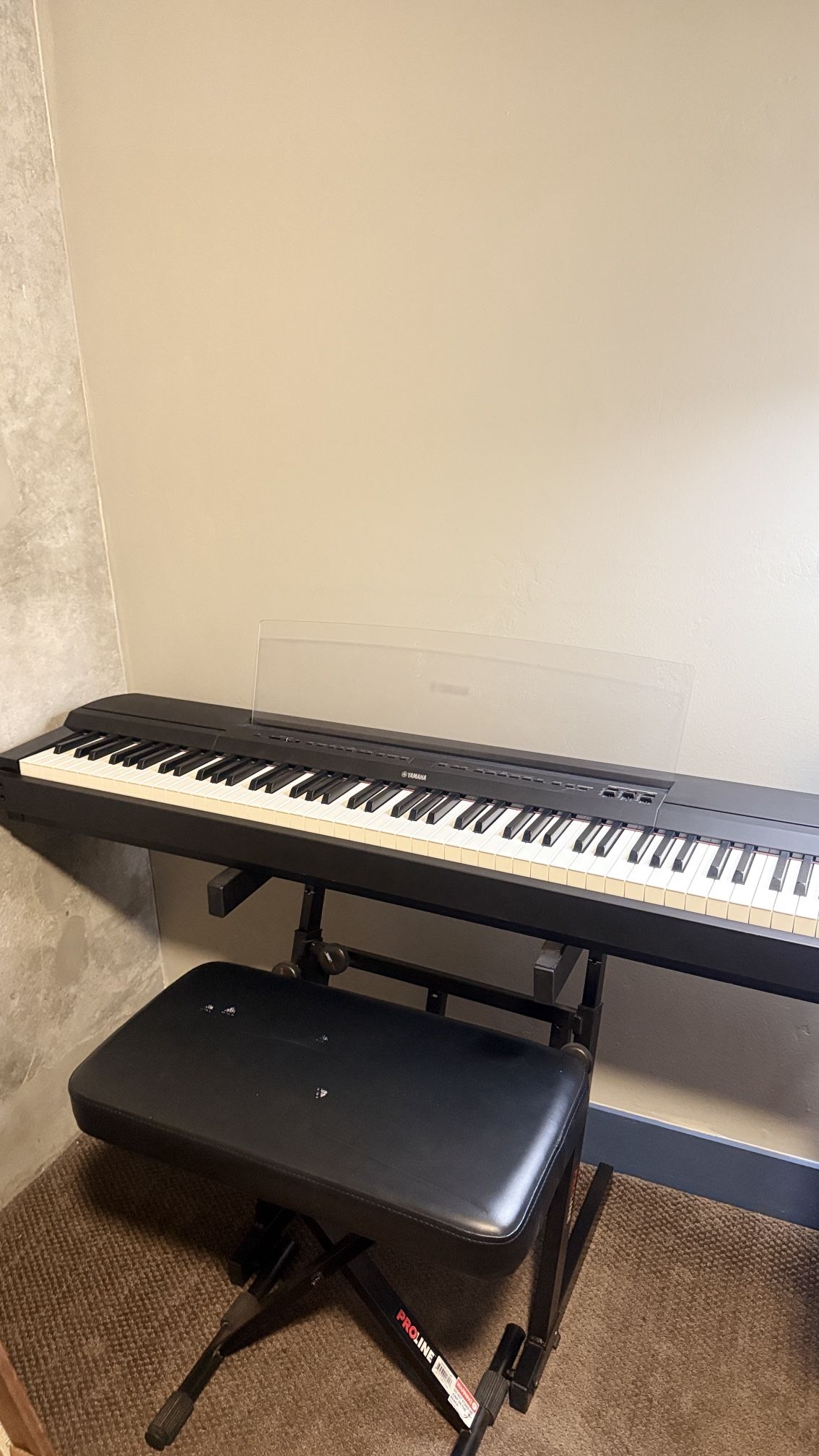 Yamaha P255B, 88-Key Weighted Action Digital Piano with Power Supply and Sustain Pedal, Black (P225B)
