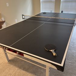 Ping Pong Table