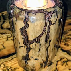 Enchanting Beetle-kill wood Fractal Burned Candle Holder
