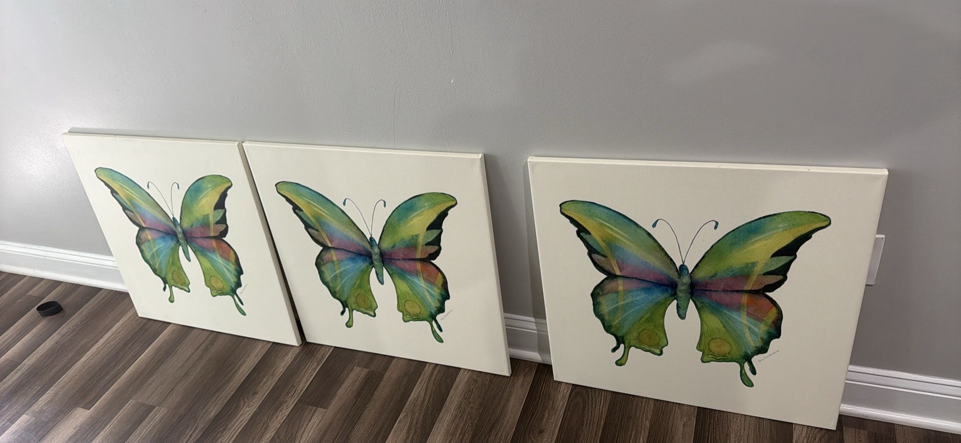 Butterfly Canvas