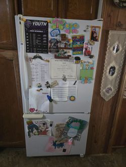 White Bottom-Freezer Refrigerator