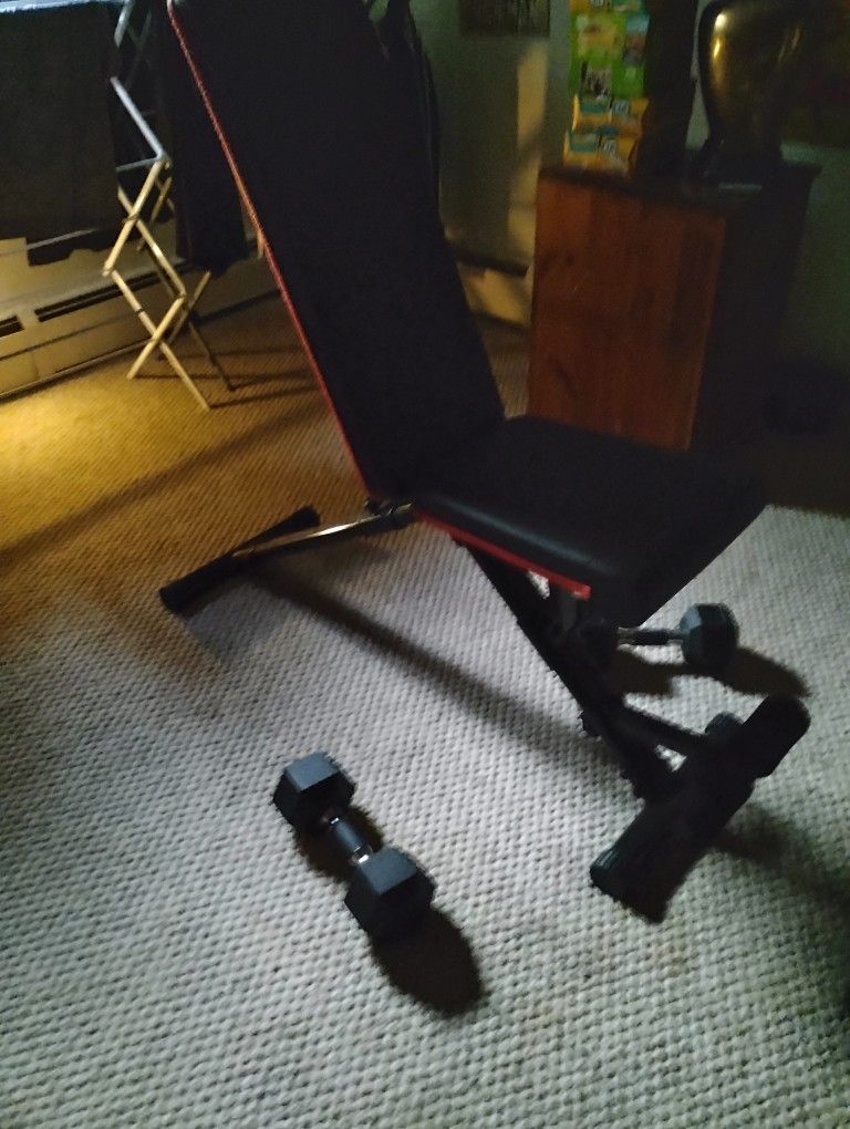 Weight Bench And Two Dumbbells At 20 Lbs